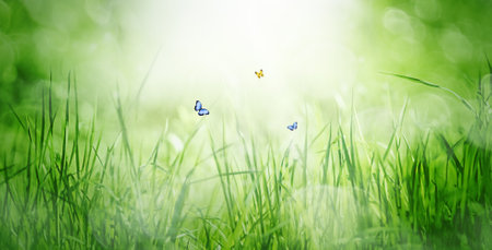 Natural green background of young juicy grass in sunlight with beautiful flying butterflies.の写真素材