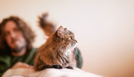 Bearded man resting with a cat.の写真素材