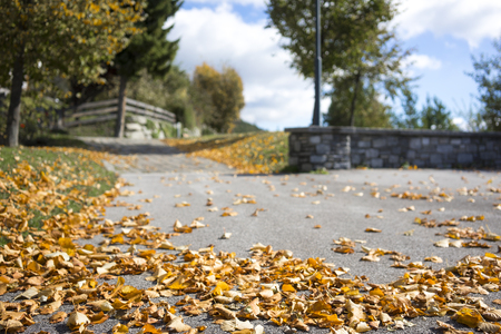 Scattered colorful autumn leaves lying on the asphalt on a rural road depicting the changing weather and seasonsの写真素材