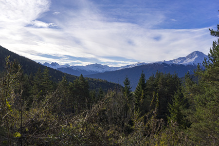Scenic Landscape Overview of Alpine Region - Thick Evergreen Forest in Foreground with Dramatic Mountain Range in Background with Blue Sky and White Clouds, Tirol, Austriaの写真素材