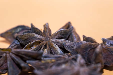 Dried star anise spice in a pile on an orange background with focus to a single spice and copy space aboveの写真素材