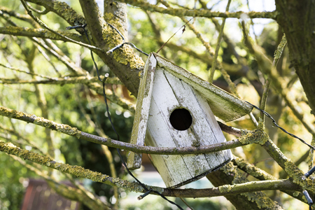 Old homemade wooden bird nesting box resting at an angle on branches in a tree in the garden of a house in a close up viewの写真素材