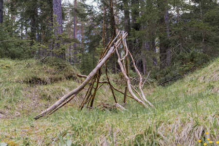 Branches stacked in a wigwam formation in a forest in a clearing amongst tall green trees viewed low...
