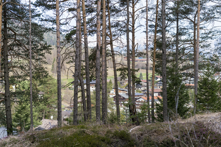 Small country village nestling in the mountains viewed through a stand of pine trees at the edge of a forestの写真素材