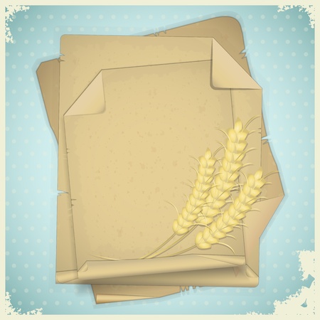 Grunge paper with ear of wheat  on vintage background - vector illustrationのイラスト素材