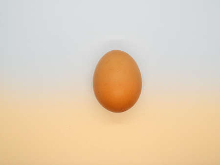 Chicken Brown Eggs with white and orange shade backgroundの写真素材