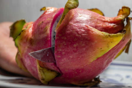 Pitaya, the dragon fruit being cutの写真素材