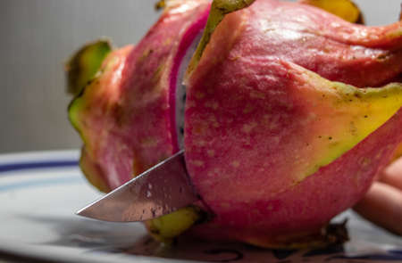 Pitaya, the dragon fruit being cutの写真素材