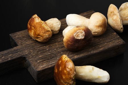 Ceps on wooden cutting boardの写真素材