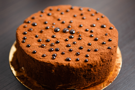 Chocolate cake  with brilliant chocolate propsの写真素材