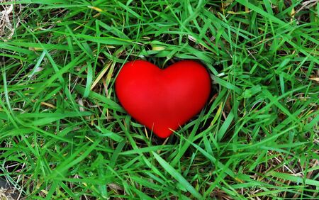 Natural love - Red heart on green grassの写真素材