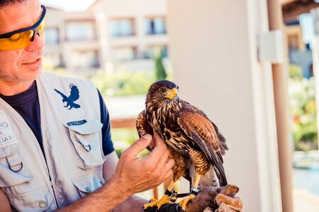 man with a hawk as a security guard, Greeceのeditorial素材