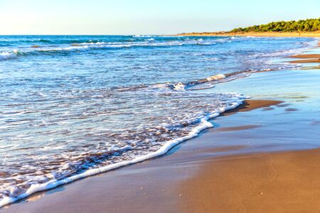 Amazing beach sunset with incredible foamy waves.の写真素材