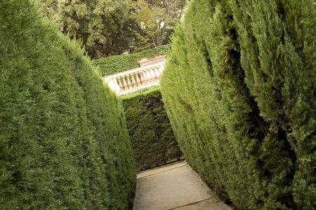 inside a labyrinth  の写真素材