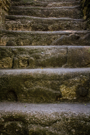 Mayan piramide staircase Tikal Guatemalaの写真素材