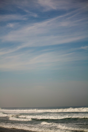 Zicatela beach and eagle in the sky over waves Puerto Escondido Mexicoの写真素材
