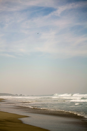 Zicatela beach and eagle in the sky Puerto Escondido Mexicoの写真素材