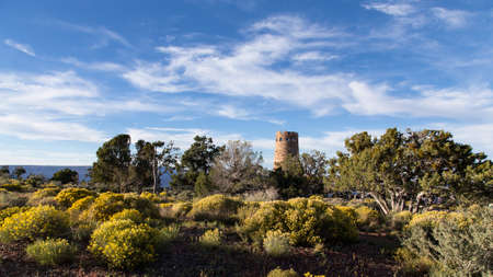 wetland sceneryの写真素材