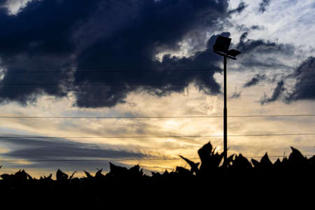 at sunset near the lake, at barberino di mugelloの写真素材