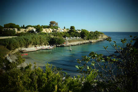 Focused sea in the darkの写真素材