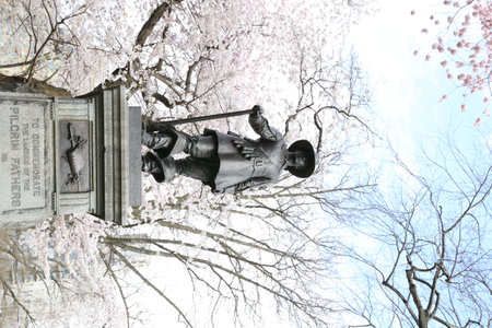Statue in front of cherry blossom in Central Park