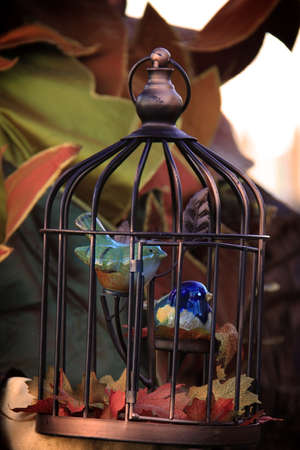 Two porcelain birds in a cage, with autumn setting.の写真素材