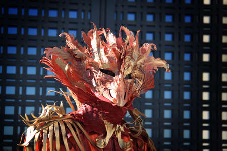 Venice carnival costume and mask.の写真素材