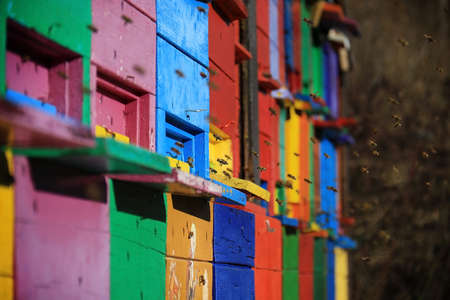 A group of traditional Slovenian beehives with bees flying around.の写真素材