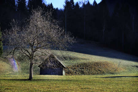 An old hut in the mountains with a leafless tree and rainbow nearby.の写真素材