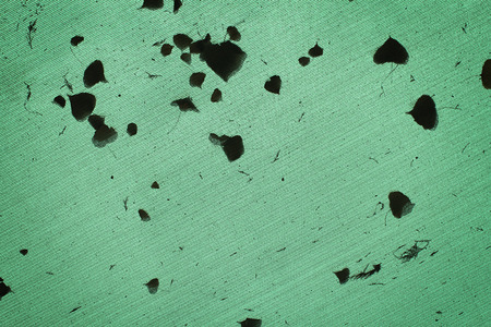 A mesh background showing silhouettes of fallen leaves.