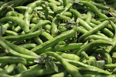 A heap of fresh green fava bean pods in the market in Lebanon.の写真素材