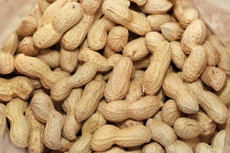 A nylon bag of peanuts in shell.