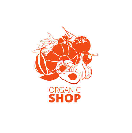 organic foods shop or vegan cafe, vector illustration. Organic Marketのイラスト素材
