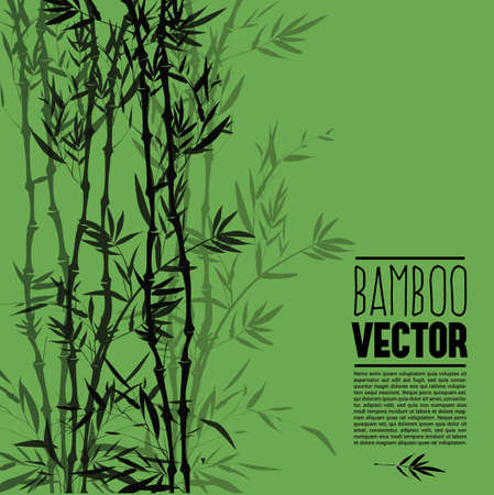 Bamboo bush, ink painting over the green backgroundのイラスト素材