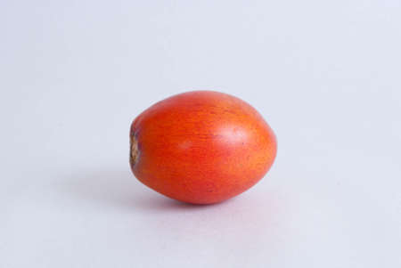 Tomato of treeの写真素材