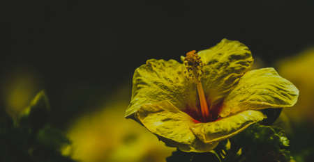 Close upの写真素材