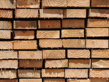 Stacked wood pine timber 2