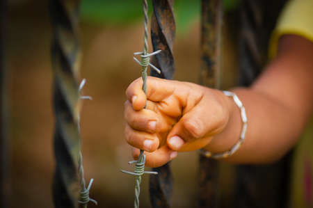 Hand gripping a barbed wireの写真素材