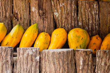 Group of fresh papayas on a wood standの写真素材