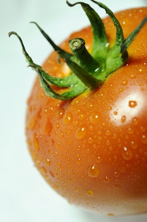 fresh tomatoの写真素材