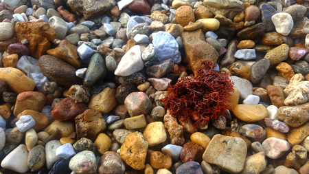 Beach stonesの写真素材