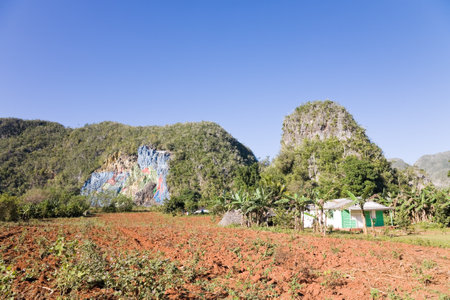 Vinales, Cuba - 2012, December 2 : The mural of prehistory on the wall of a mogote, a hill in the Vinales Valley in Cubaのeditorial素材