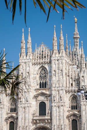 The splendid facade of the gothic cathedral of Milan framed by some branches of palm trees, Lombardy, Italyの写真素材