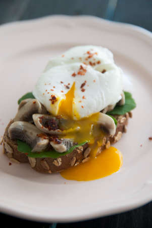 Poached Egg on a Slice of Bread with Mushroom and Bay Leaves