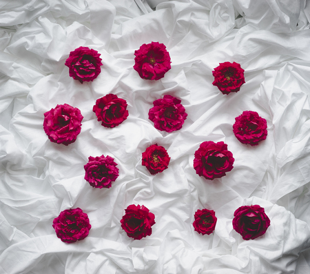 Composition of red roses on a white backgroundの写真素材