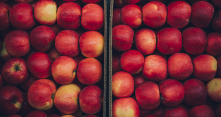 Red juicy apples in a box. apple background.