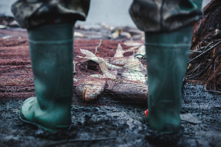 Fisherman in foot rubber boots, watching on fish in fishnets. Conception: Fishing.の写真素材