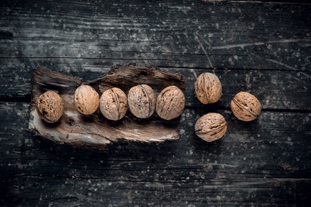 Healthy walnuts on the bark of a tree and the background of an old treeの写真素材