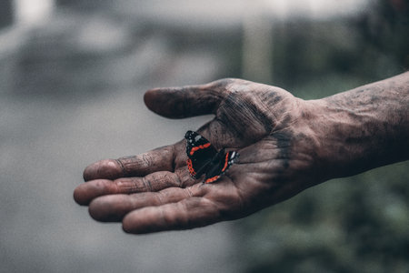 dirty mans hand holds a beautiful butterflyの写真素材