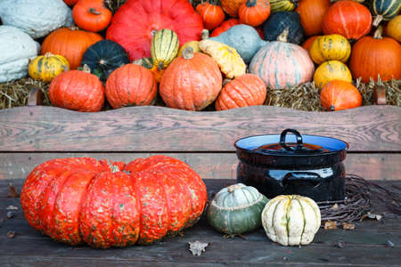 A lot of various pumpkins  next to a cooking pot, photographed at duskの写真素材